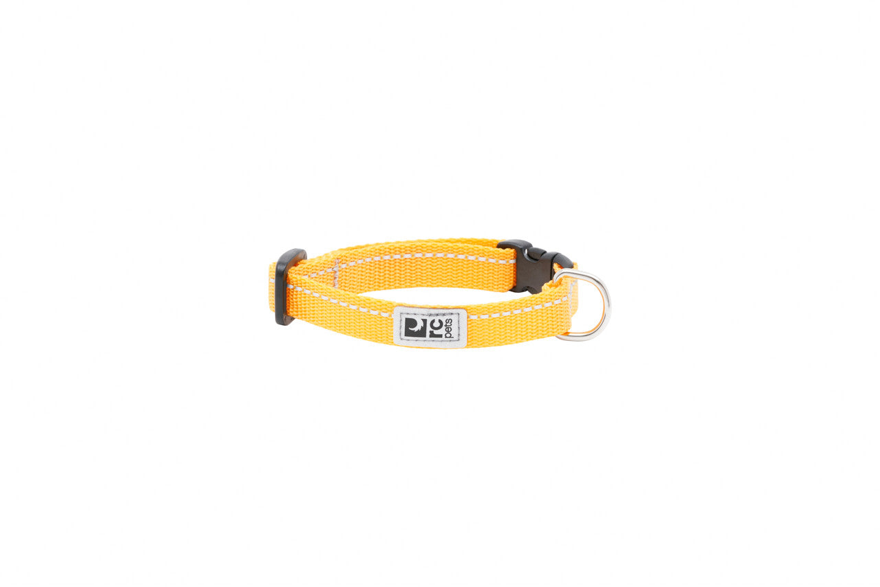 RC Pet -  Petite Clip Collar Primary Marigold