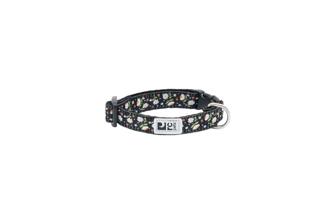 RC Pet - Clip Collar Primary 5/8 Daisies