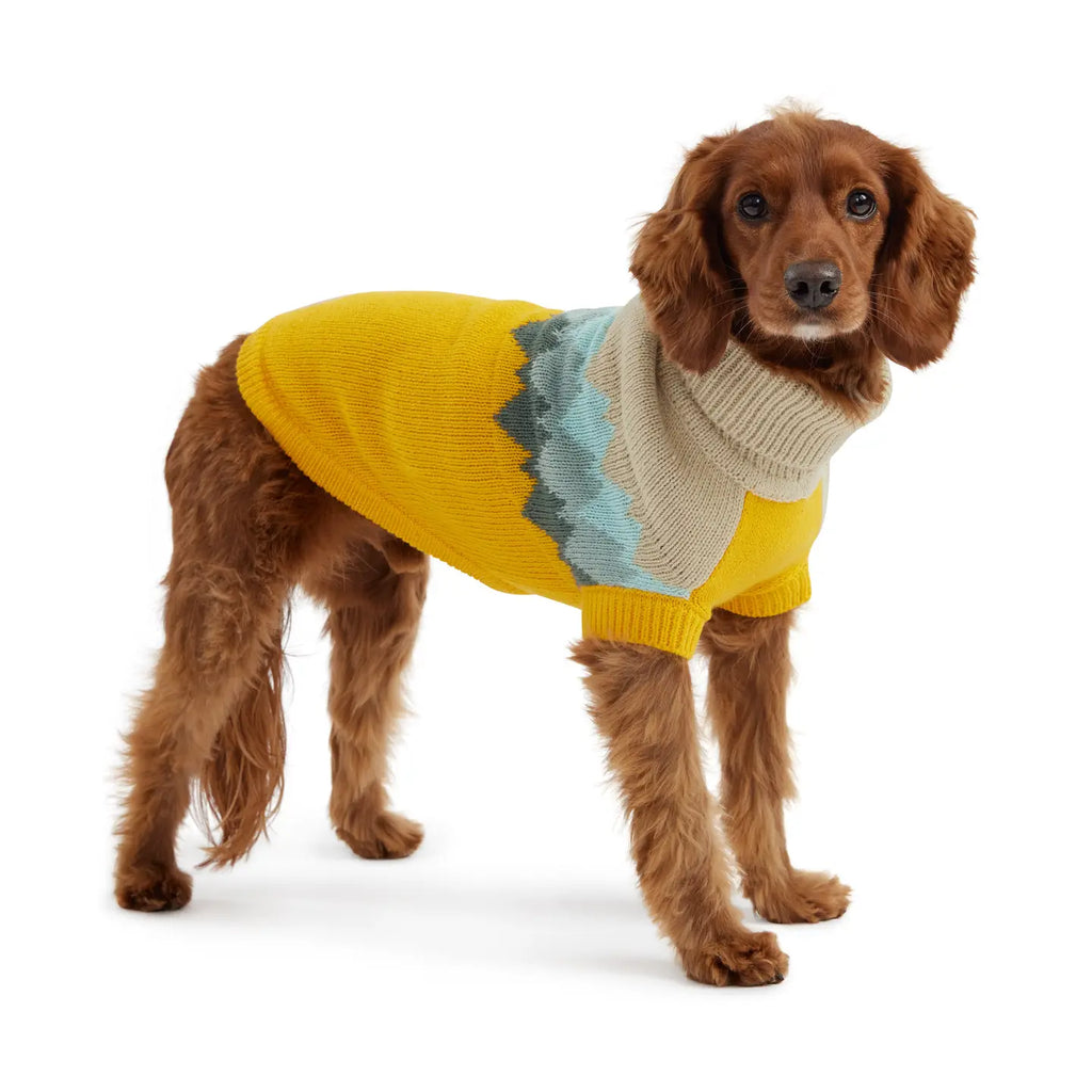 GF Pet Fireside Sweater - Yellow