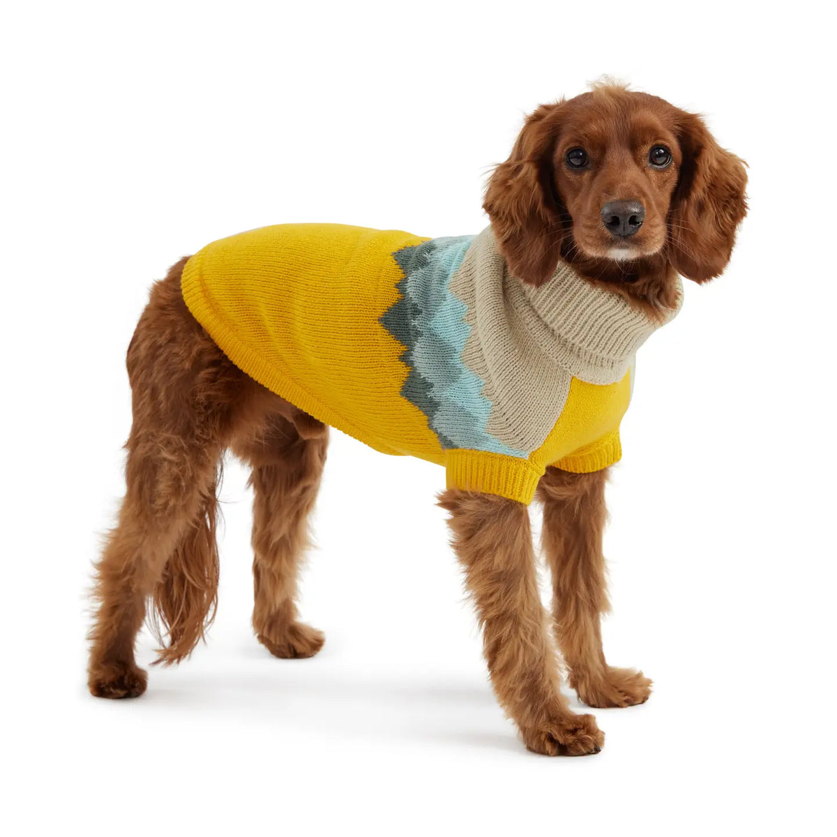 GF Pet Fireside Sweater - Yellow