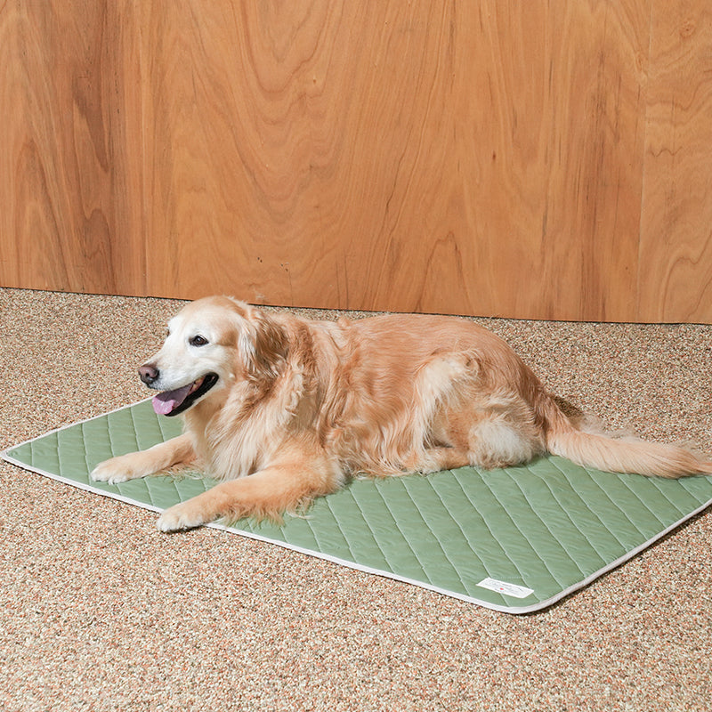Puppy Gallery Airy Pet Cooling Mat Khaki Green