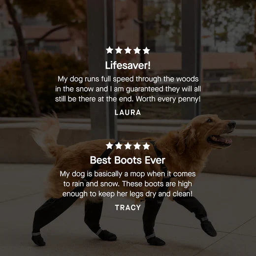 Canada Pooch Suspender Dog Boots