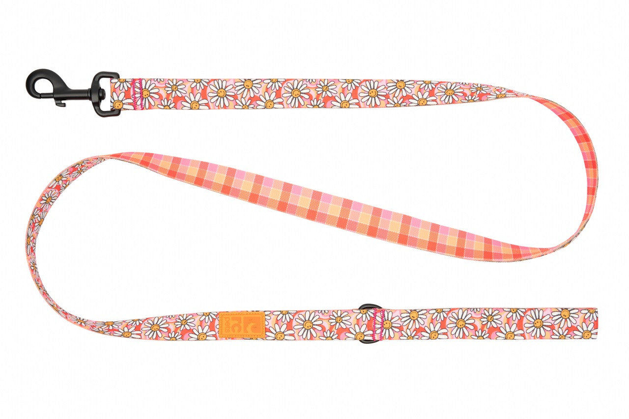 RC Pet - Eco Leash 1x5 Daisy Joy