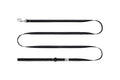 RC Pet -  Petite Leash Primary 1/2x6 Black