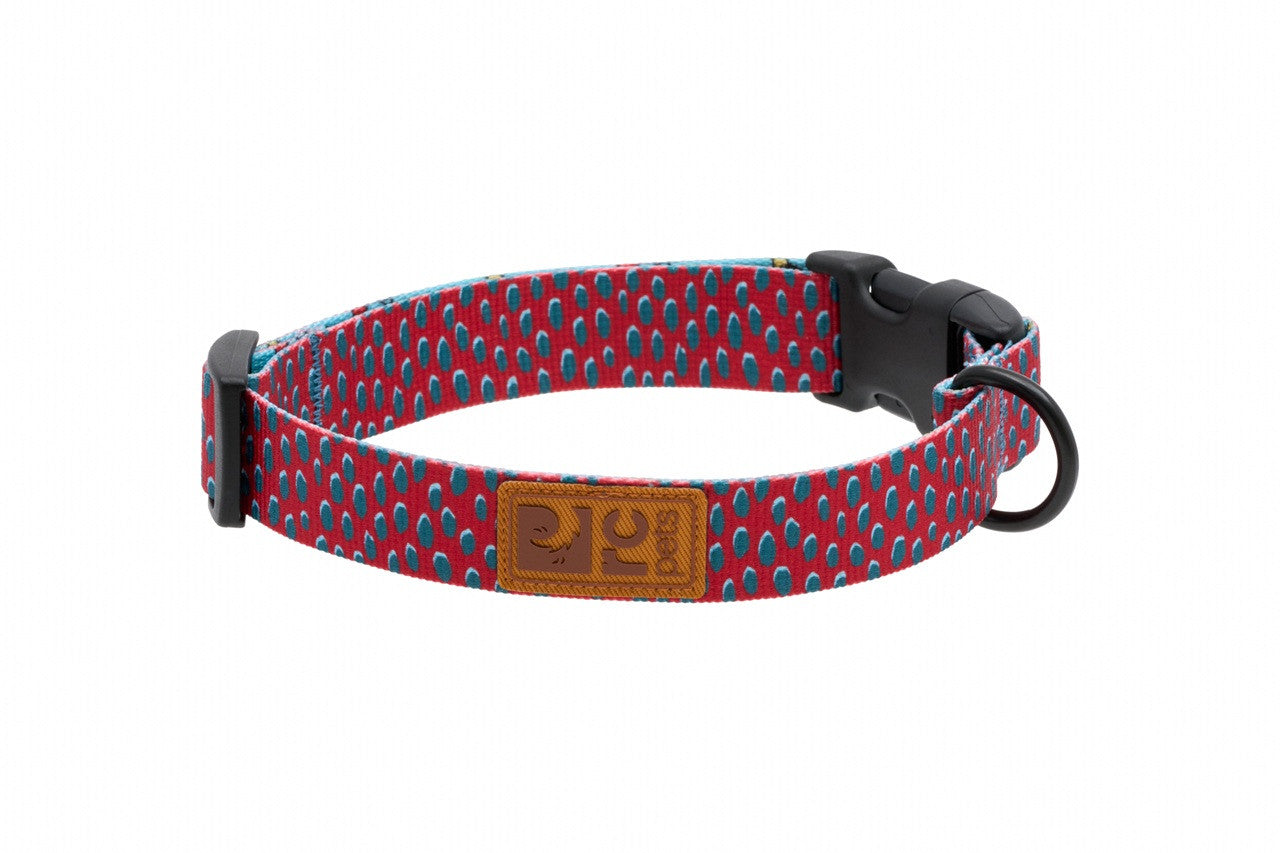 RC Pet - Eco Clip Collar 1 Dotted Delight