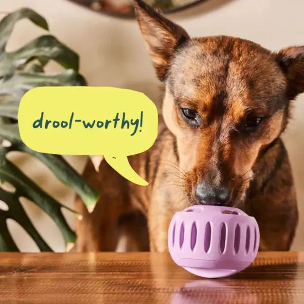 Woof Pupsicle Lavender