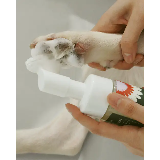 Dandylion Clean Paws 150mL
