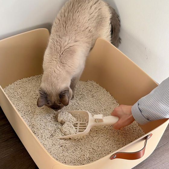 Dofu Cat Tofu Spa Litter, Botanicals in Bloom