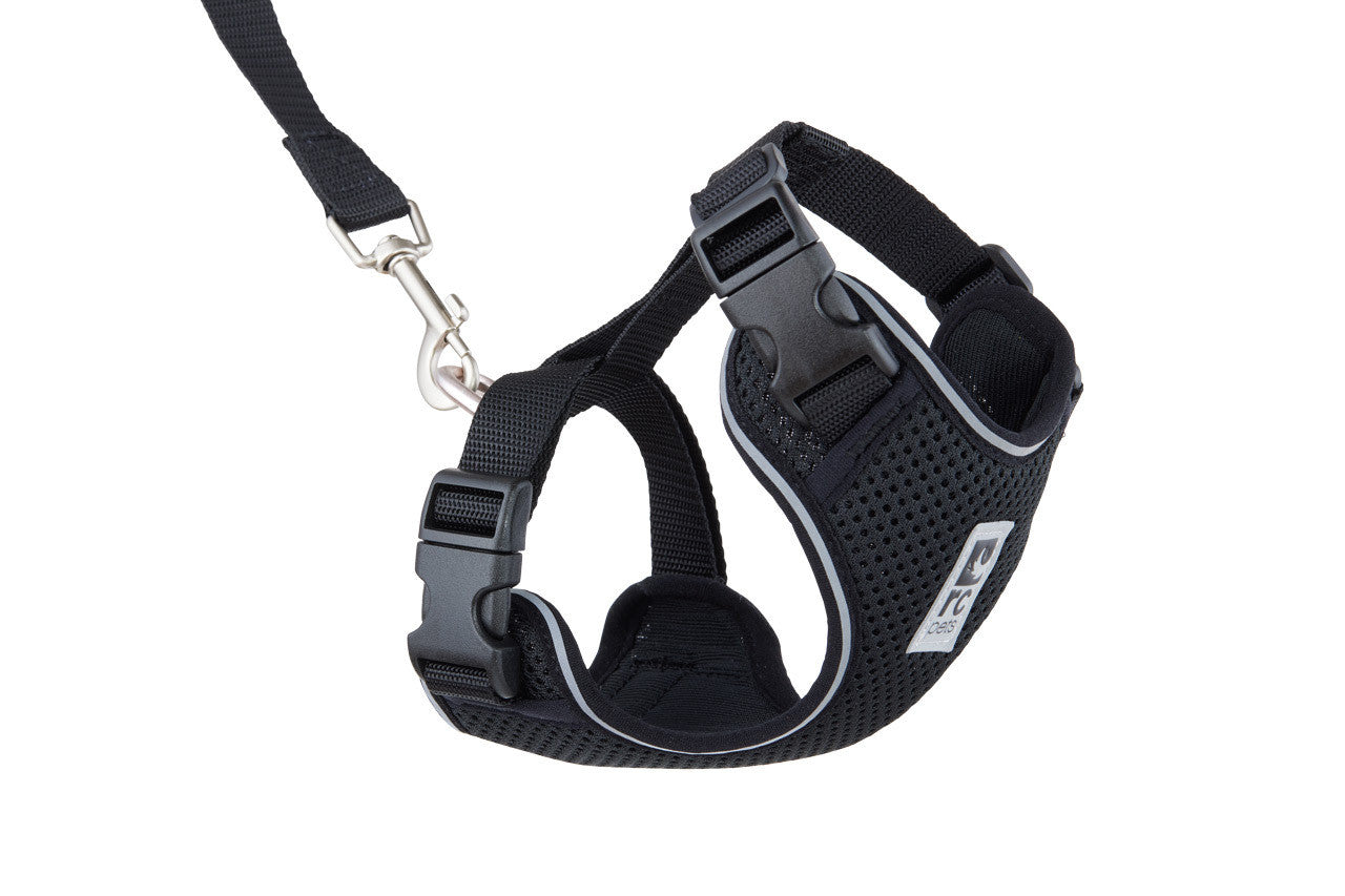 RC Pet -  Adventure Kitty Harness Black