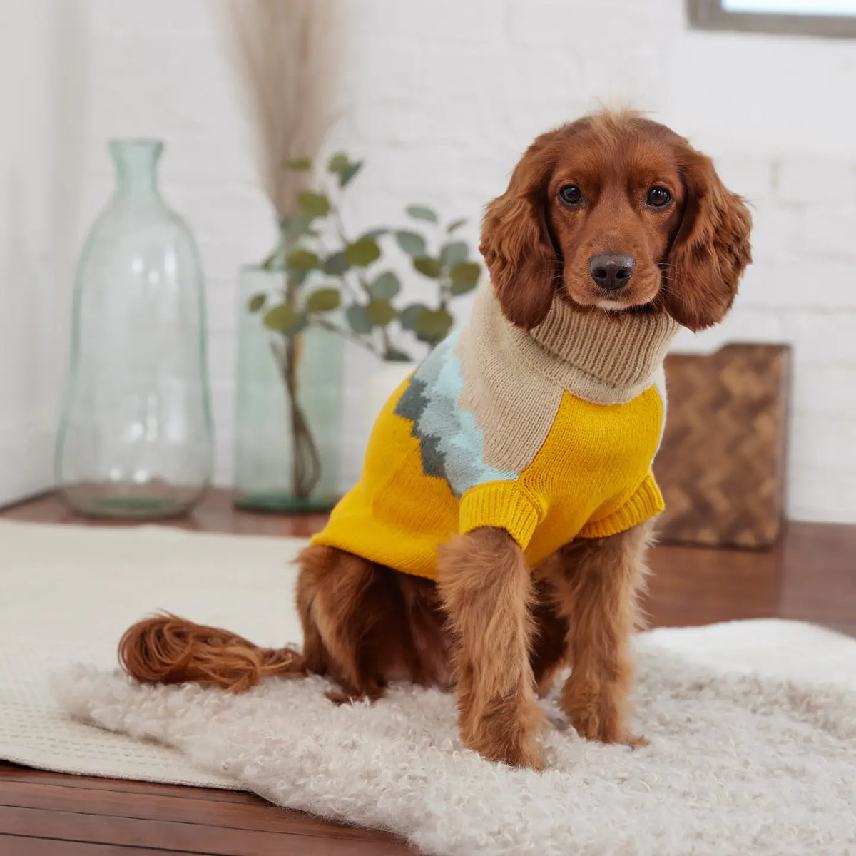 GF Pet Fireside Sweater - Yellow