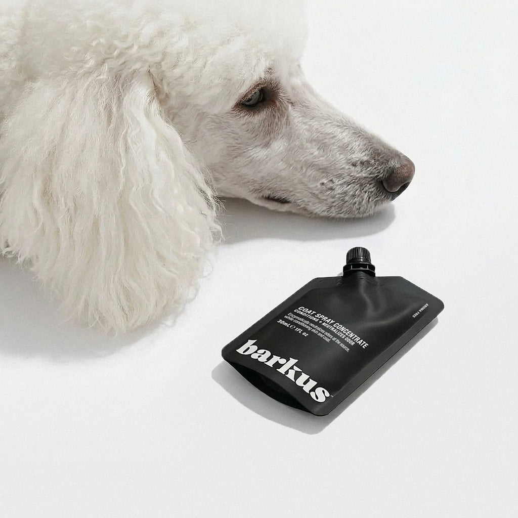 Barkus Aroma Free Concentrate