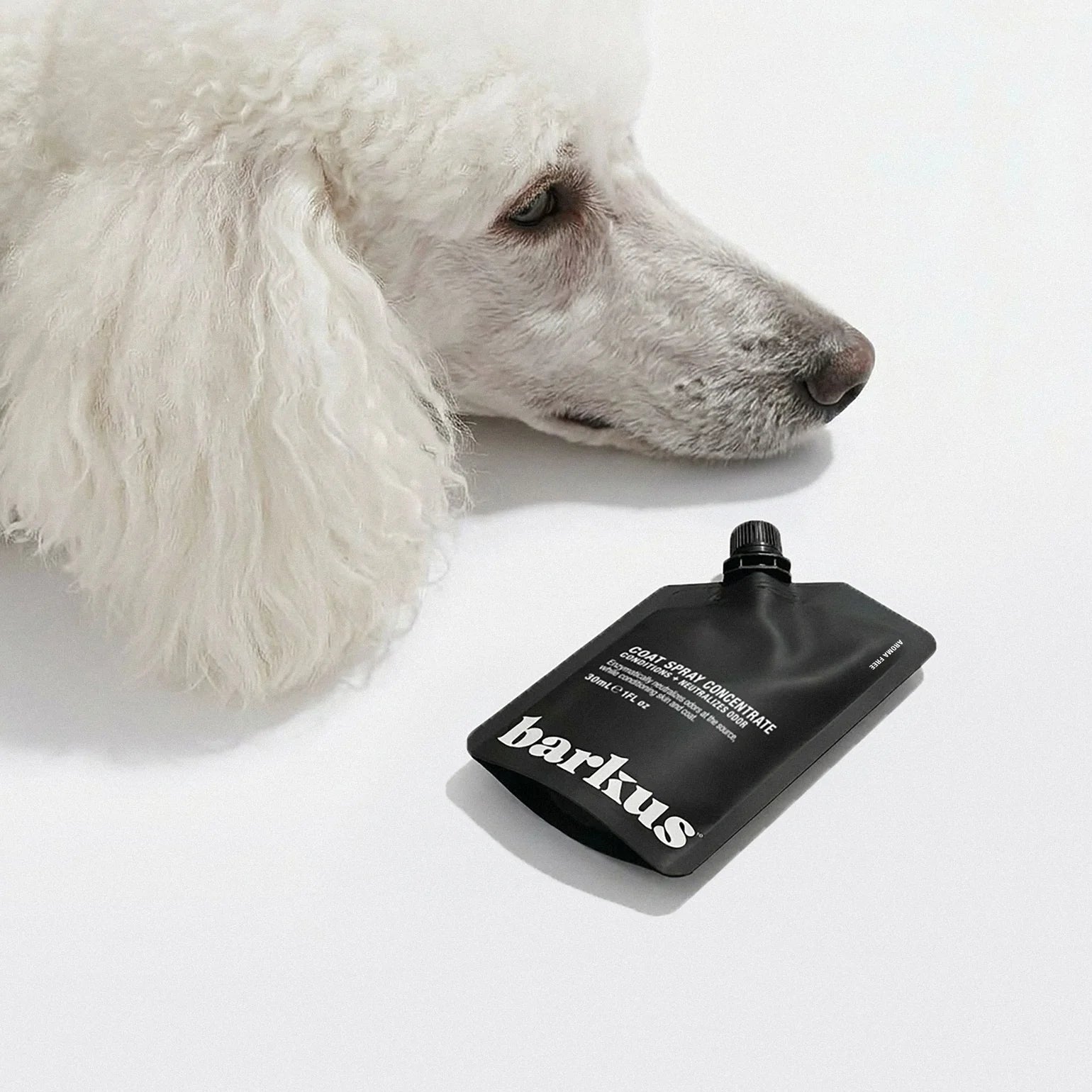 Barkus Aroma Free Concentrate