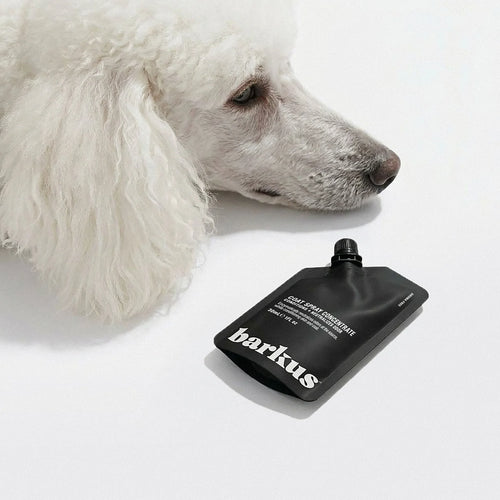 Barkus Aroma Free Concentrate