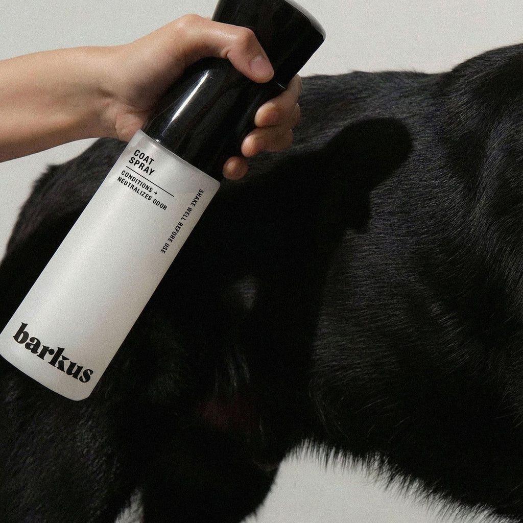 Barkus Aroma Free Kit