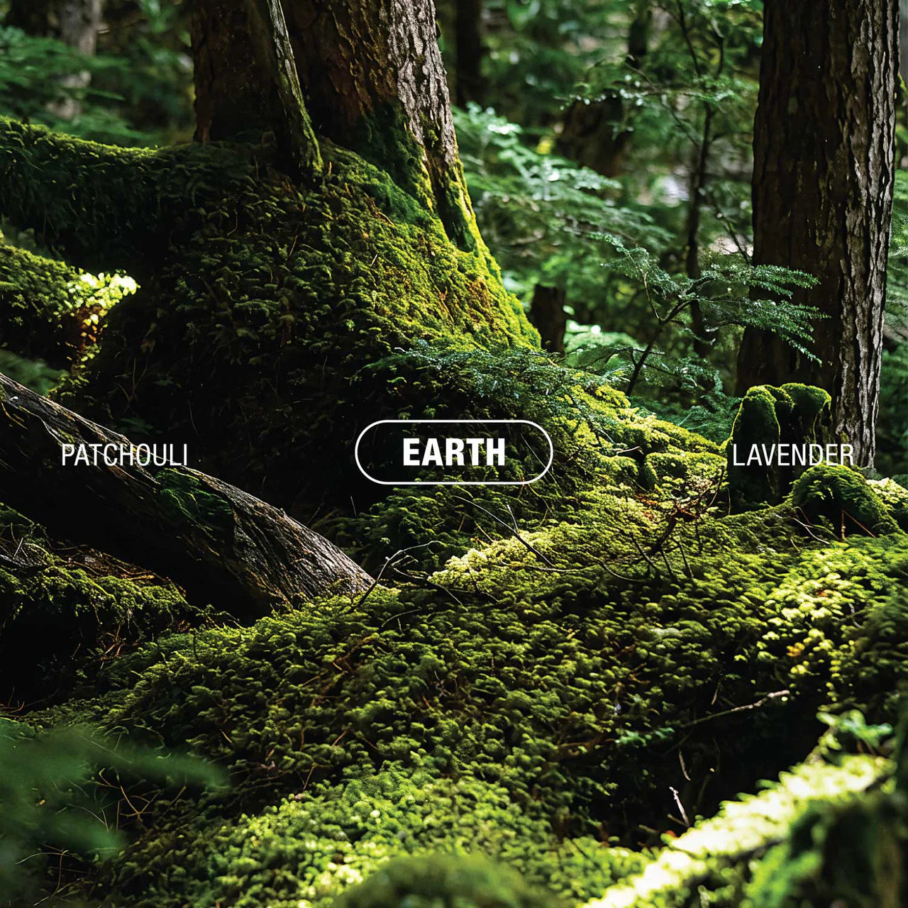 Barkus Earth Concentrate