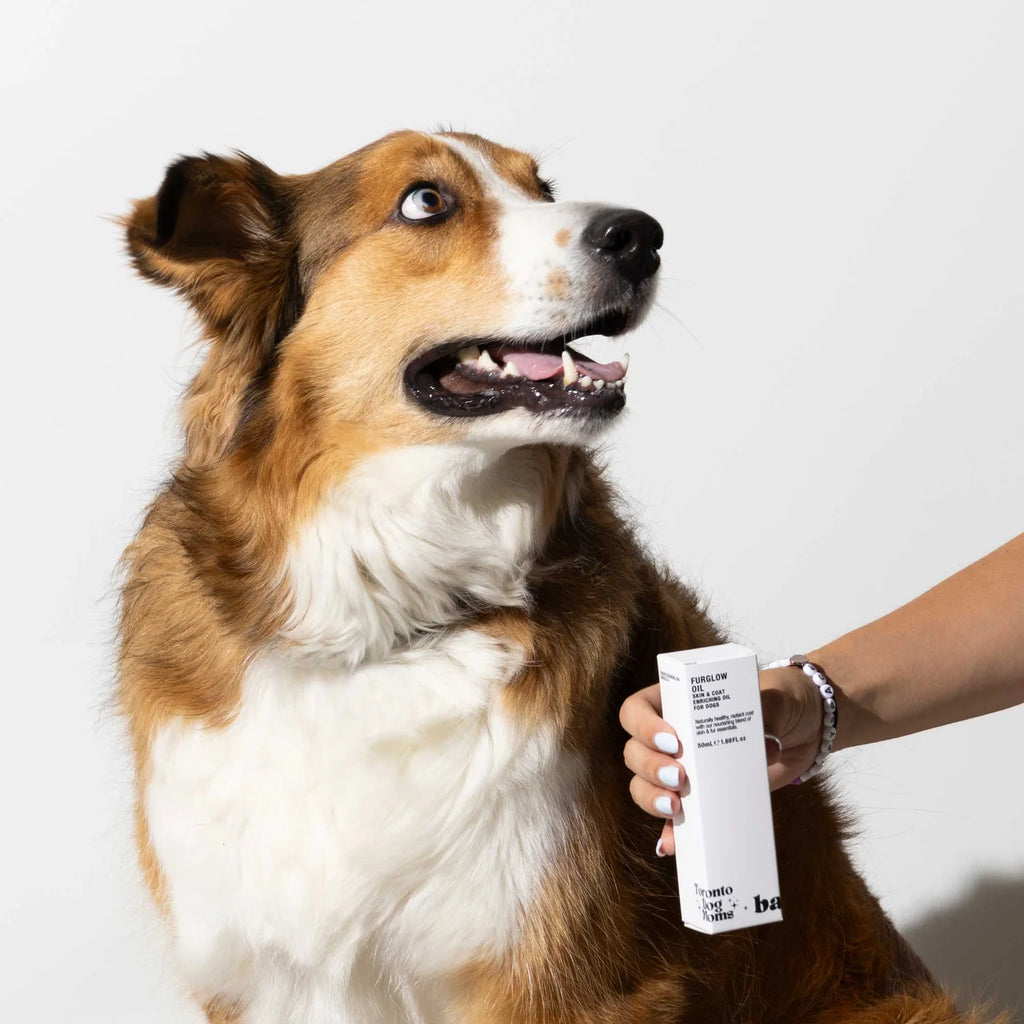 Barkus Fur Glow Oil
