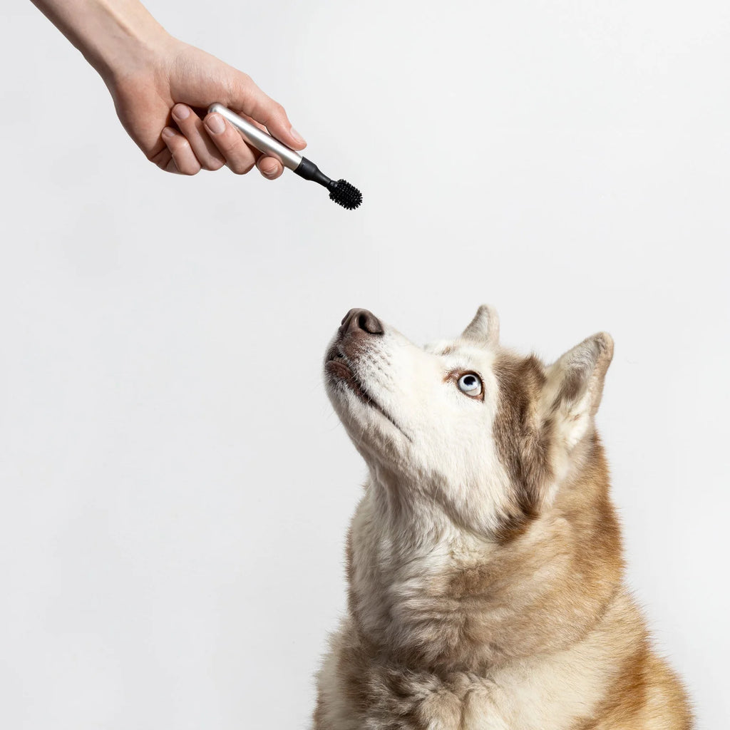 Barkus Toothbrush - Aluminum 05