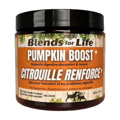 Blends for Life - Pumpkin Boost