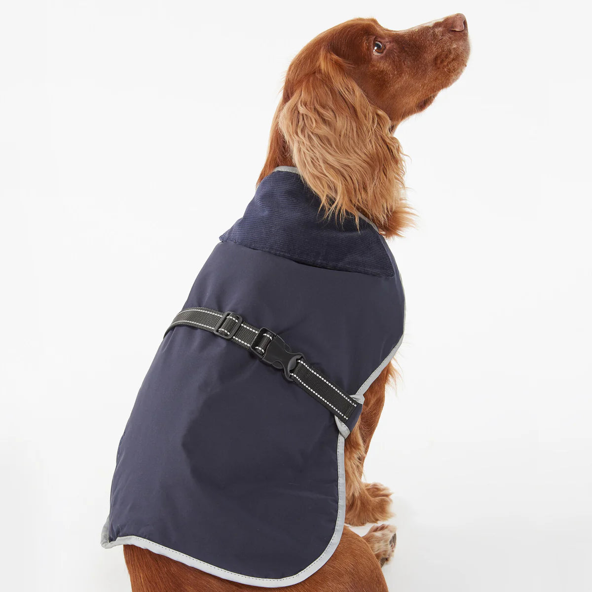 Barbour - Coat Monmouth WP Indigo