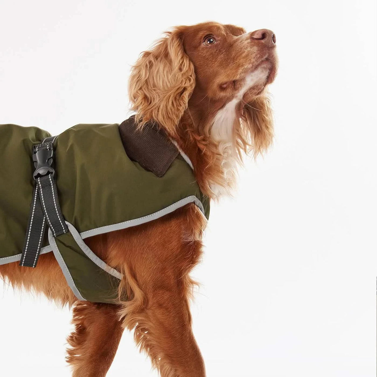 Barbour - Coat Waterproof/Breathable Olive
