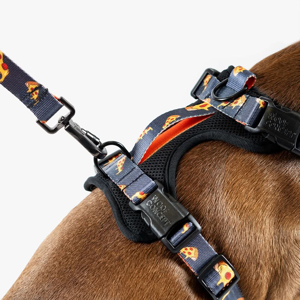 Woof Concept - Brooklyn Max Control Harness