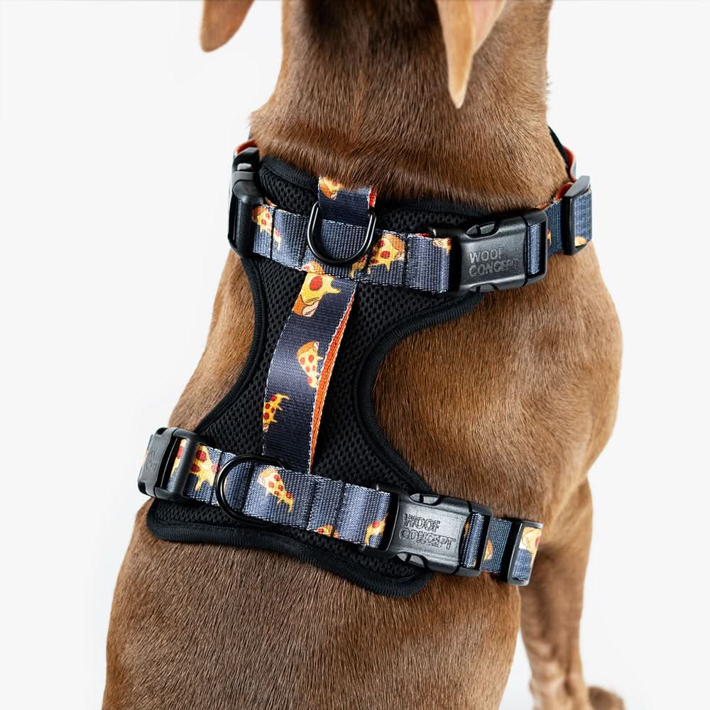 Woof Concept - Brooklyn Max Control Harness