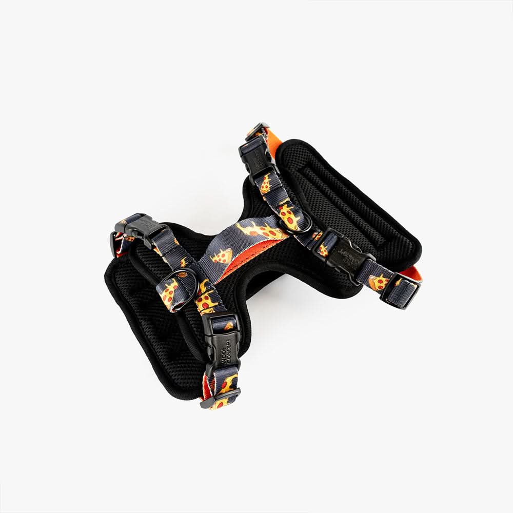 Woof Concept - Brooklyn Max Control Harness