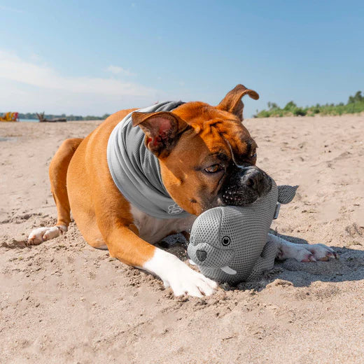 Canada Pooch Freeze & Chill Cooling Pal Toy