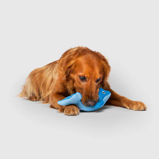 Canada Pooch Freeze & Chill Cooling Pal Toy