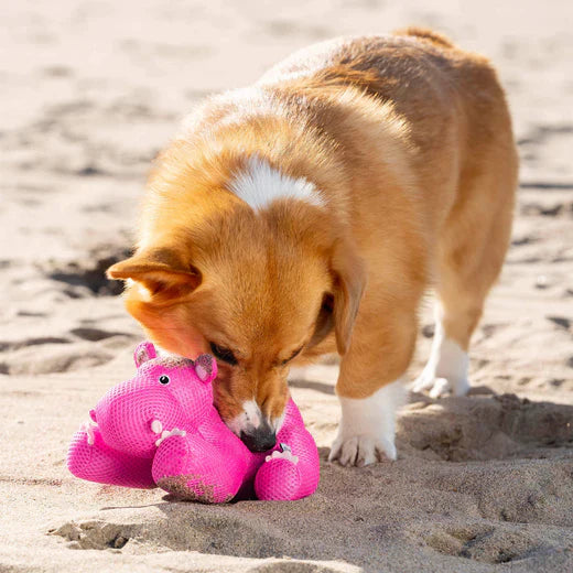 Canada Pooch Freeze & Chill Cooling Pal Toy