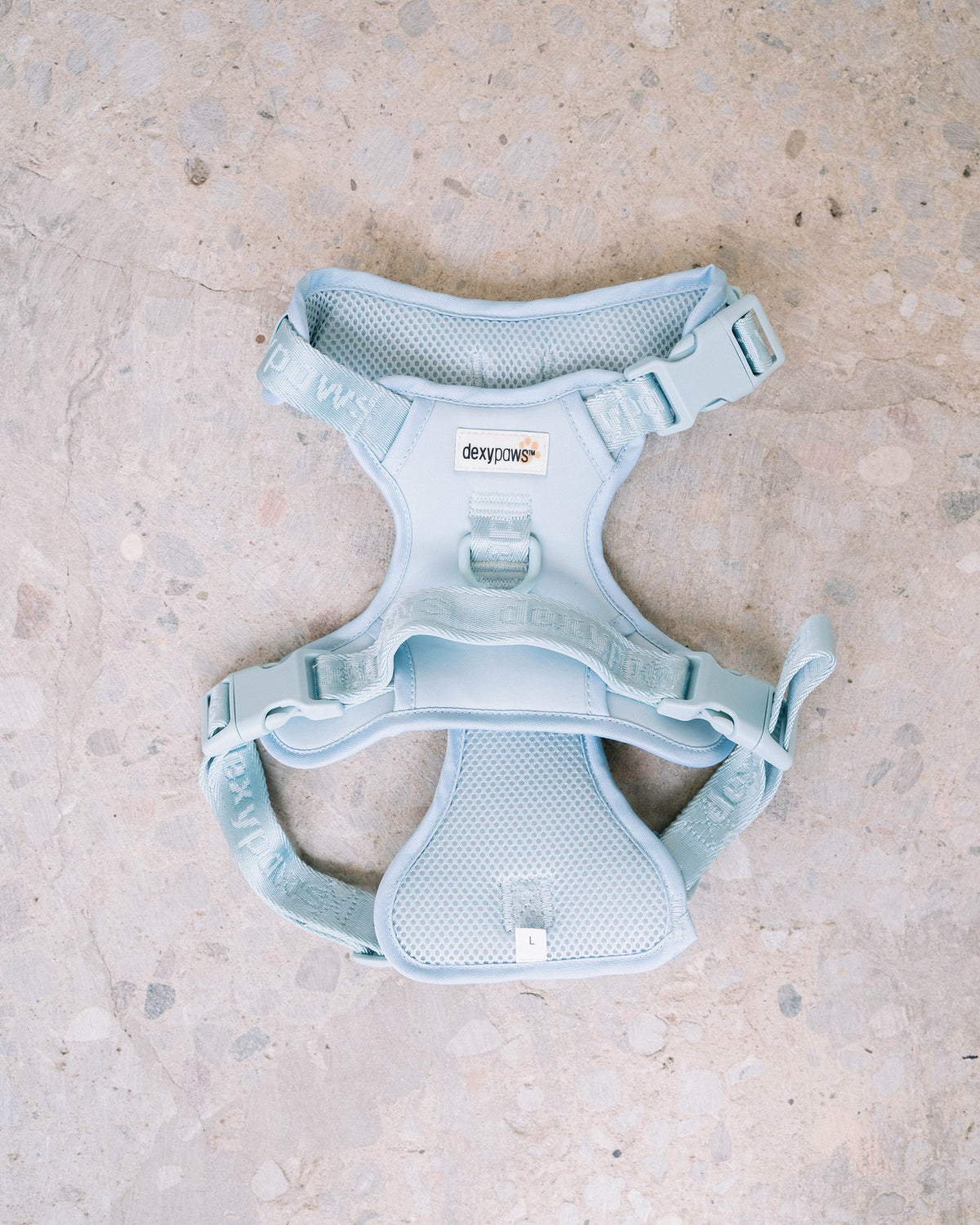 Dexypaws Sky Blue hands-free waterproof dog leash