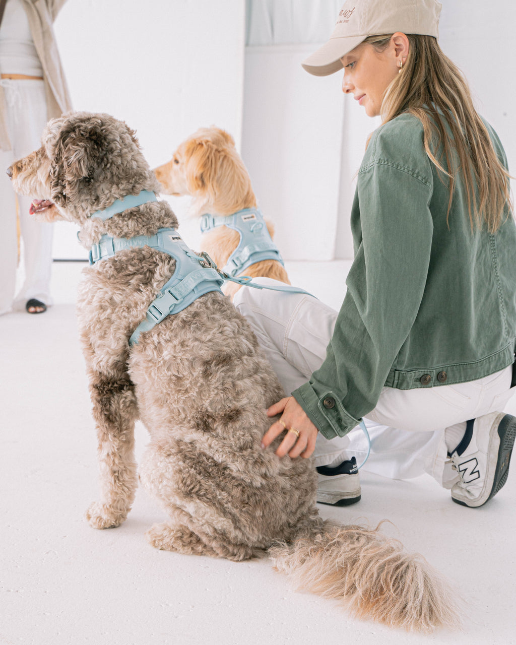 Dexypaws Sky Blue no-pull dog harness and hands-free waterproof leash set
