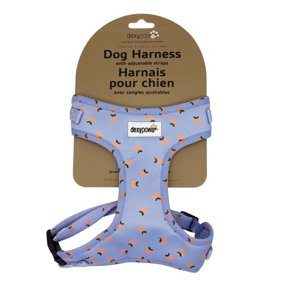 Dexypaws Neoprene Harness For Dog, Sky Blue With Tangerine Print