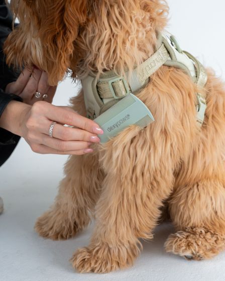 Dexypaws Grooming Or Care Tools, Flea Comb, Sage Green