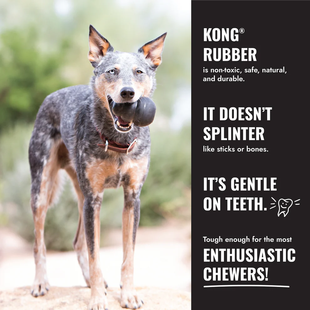 KONG Extreme Ball w/Rope
