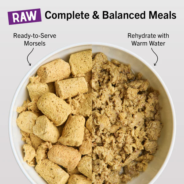 Stella & Chewy's Tummy Ticklin’ Turkey Freeze-Dried Raw Dinner Morsels for Cats