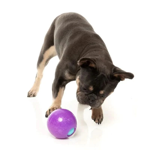 Fuzzyard - Interactive Chew Toy Truth Tellin' Treat Ball