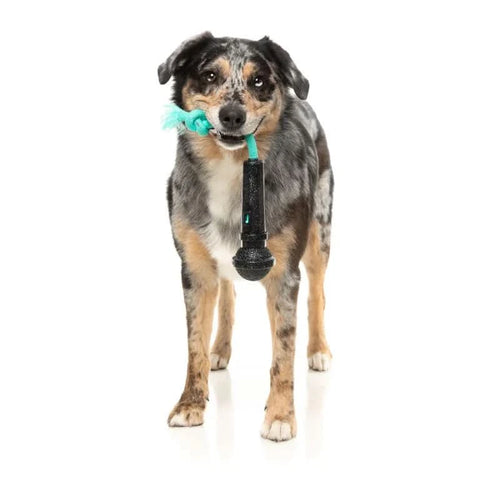 Fuzzyard -  Interactive Chew Toy Mic Drop