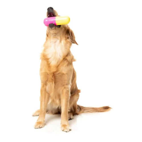 Fuzzyard -  Interactive Chew Toy Chill Pill