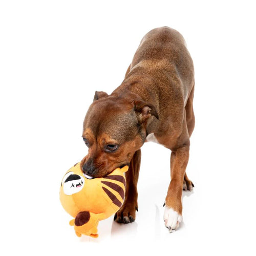 Fuzzyard Dog Toy - The Noggins ROARNALDO