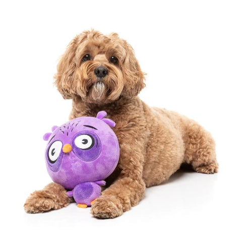 Fuzzyard Dog Toy - The Noggins HOO-DINI
