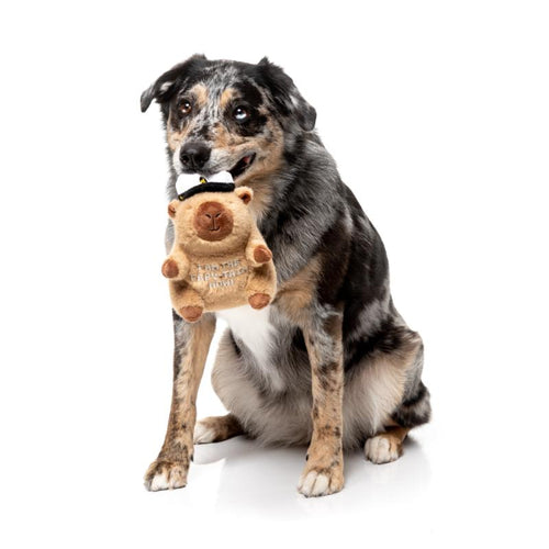Fuzzyard Dog Toy - Happybaras CAPY-TAIN