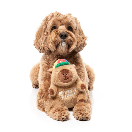 Fuzzyard Dog Toy - Happybaras CAP-YBARA