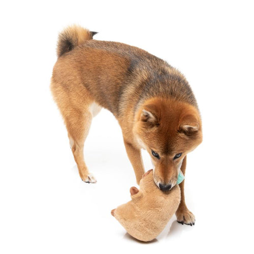 Fuzzyard Dog Toy - Happybaras CAPY-CCINO