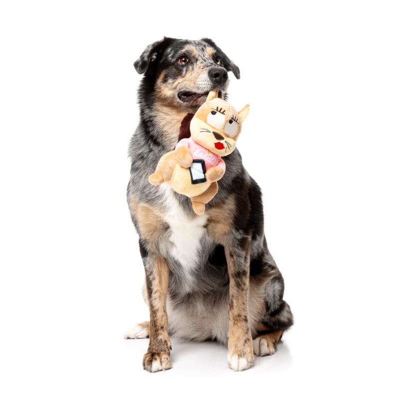 Fuzzyard Dog Toy - Drive Ya Nutz #ASHLEIGH