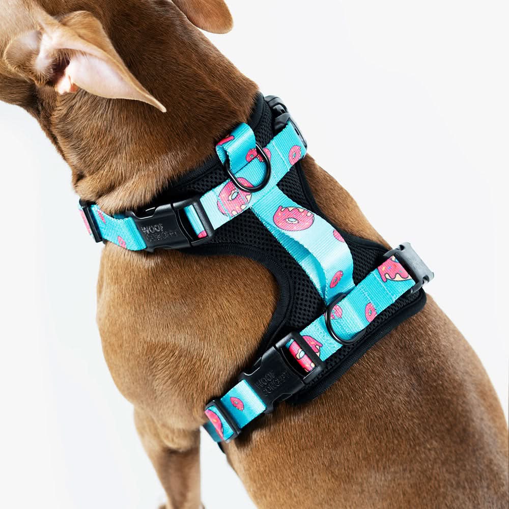 Woof Concept - Five-O Max Control Harness