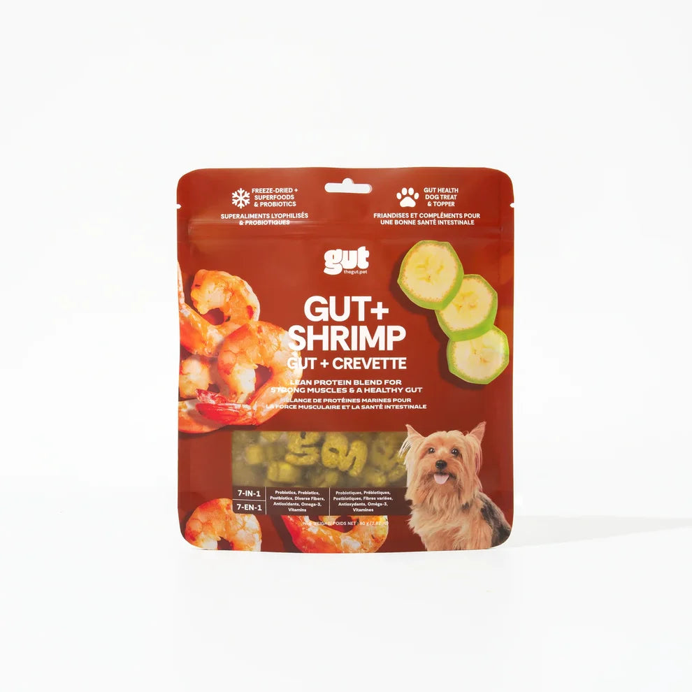 Gut + Shrimp