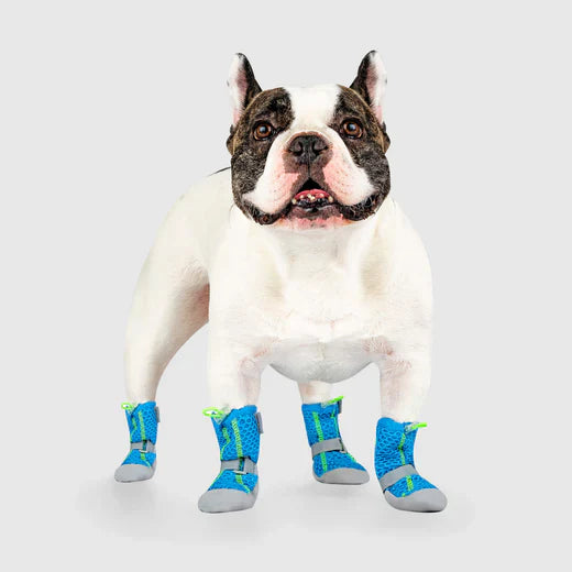 Canada Pooch Hot Pavement Boots