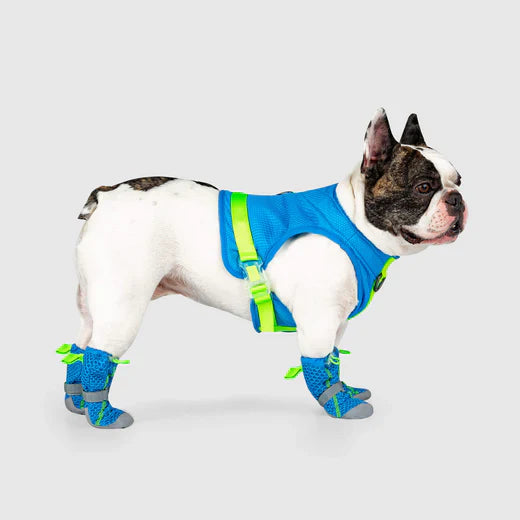 Canada Pooch Hot Pavement Boots