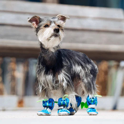 Canada Pooch Hot Pavement Boots